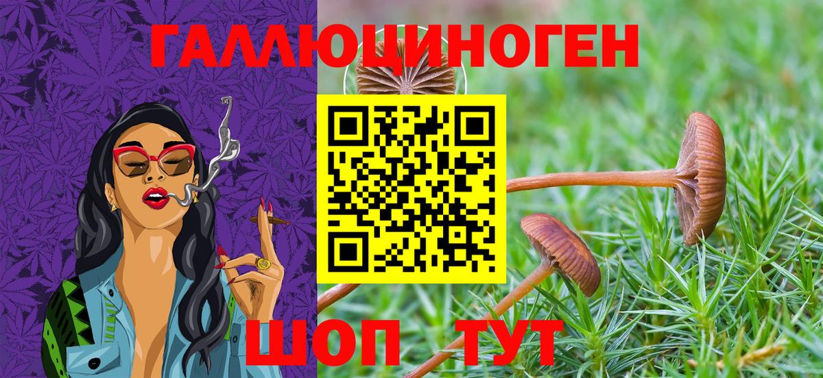 Псилоцибиновые грибы мицелий Коркино
